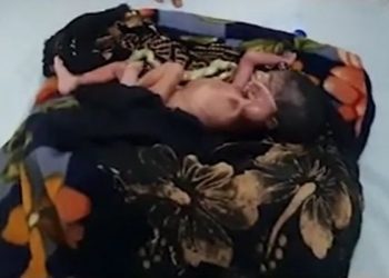 new born baby girl found in garbage alwar