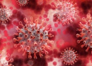 corona-update-today-47092-test-positive-for-covid-19-in-india-and-32803-corona-positive-in-kerala