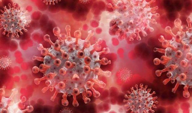 corona-update-today-47092-test-positive-for-covid-19-in-india-and-32803-corona-positive-in-kerala