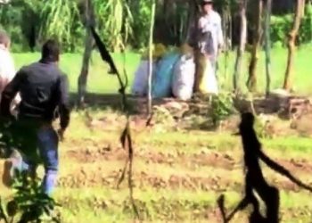 firing in land dispute at savina udaipur