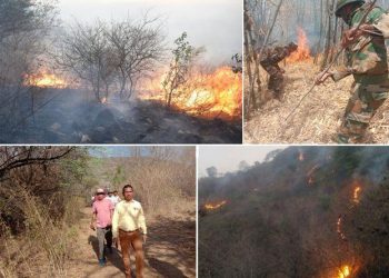 fire at hill of army station udaipur and forest area
