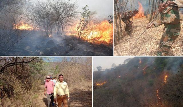 fire at hill of army station udaipur and forest area