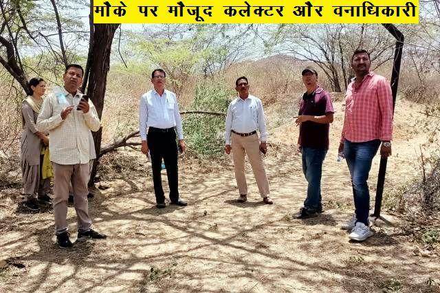 fire in sajjangarh senchuri hills udaipur collector calls helicopter to control fire -1