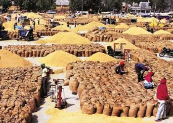 india bans wheat exports with immediate effect