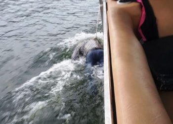 business man dead body recovered from pichola lake after two days of drowning