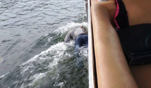 business man dead body recovered from pichola lake after two days of drowning