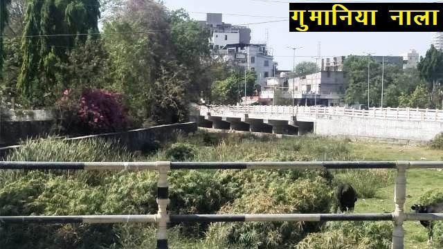 pre monsoon rain will start after 14 june - 1