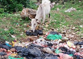 हम झीलों के भरने का इंतजार कर रहे, उधर कैचमेंट की बर्बादी की कहानी लिखी जा रही