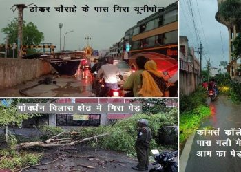 rain with strong wind in Udaipur many trees fell and power cuts