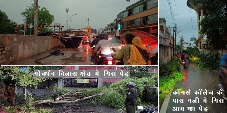 rain with strong wind in Udaipur many trees fell and power cuts
