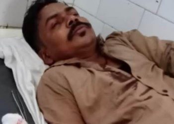 udaipur bamboo smuggler attack on patrolling team of forest department in kotra