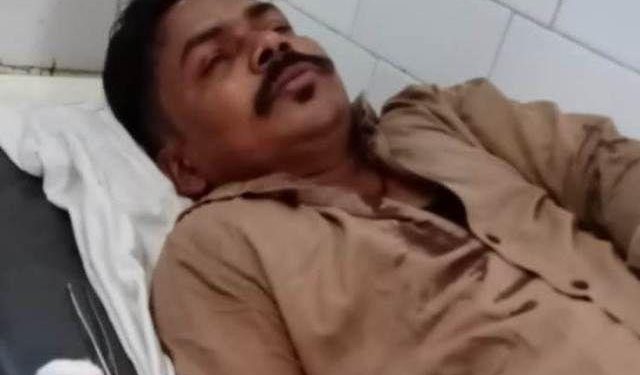 udaipur bamboo smuggler attack on patrolling team of forest department in kotra