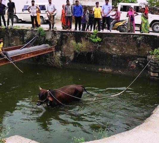 udaipur fatehsagar lake water level increasing