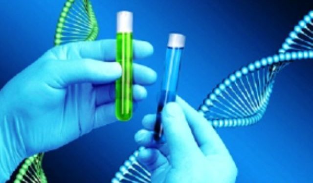 jaipur family confusion of two new born babies due to tag dna test will decide