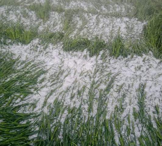 rain and hailstrom in udaipur area