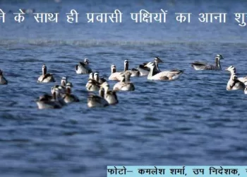 udaipur weather update day temperature go down people feel cold