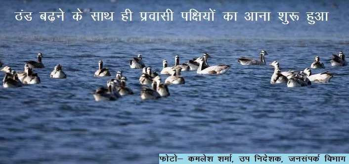 udaipur weather update day temperature go down people feel cold