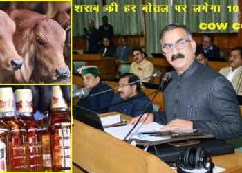 cow cess on liquor in himachal pradesh