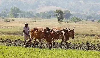 deficient village in rajasthan