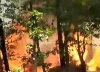 Fire broke out in Madhepura