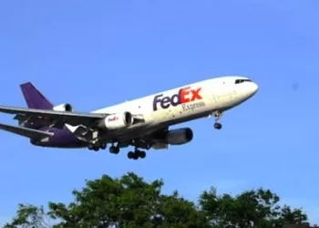 flight emergency landing on delhi airport after hit by bird