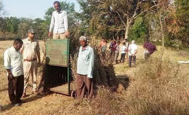 man killed by panther in udaipur forest department trying to rescue panther