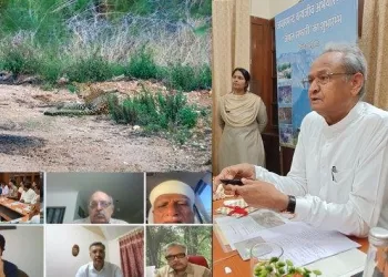 jaisamand sanctuary jungle safari started