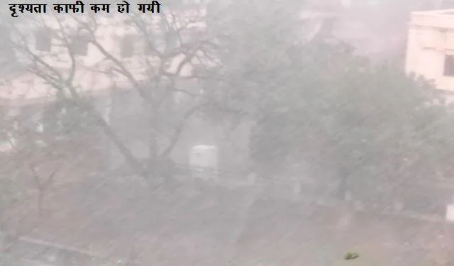 biparjoy effect in rajasthan red alert in barmer jalore and udaipur with 6 district on orange alert