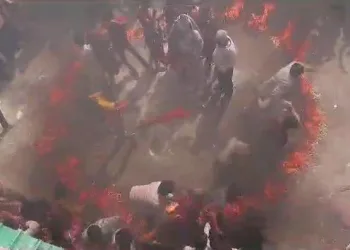 fire incident during jagannath rath yatra udaipur
