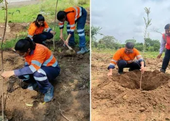 hindustan zinc plantation campaign 4500 plants in different units -1