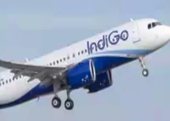 indigo jaipur to bangalore flight passenger misbehave with crew and other passengers