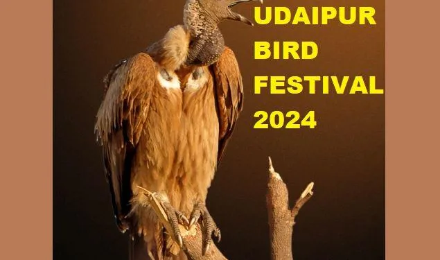 udaipur bird festival 2024 starts with bird race in udaipur