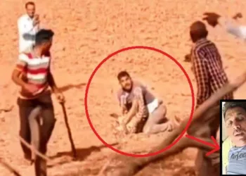 man vs wild panther attack on media person during coverage in dungarpur rajasthan