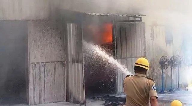 massive fire in cooler godown in udaipur rajasthan -2