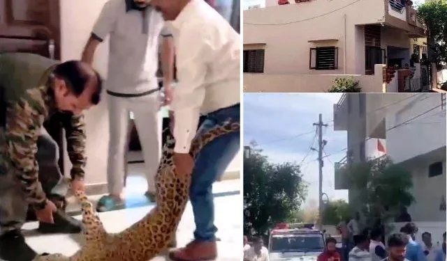 panther entered in house in udaipur, family members closed room door