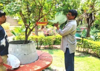 rajasthan samaj seva sansthan udaipur parinda vitran abhiyan