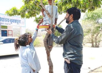 rajasthan samaj seva sansthan udaipur parinda vitran abhiyan subhashpura school gogunda udaipur