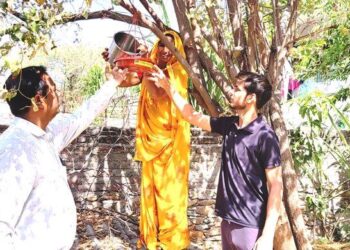 rajasthan samaj seva sansthan udaipur parinda vitran abhiyan pratappura