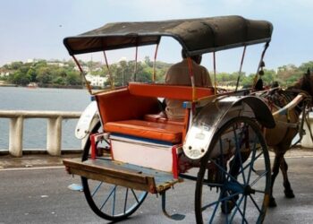 temperature dropped in rajasthan