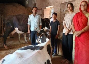 gauam milk products dairy ghatawala mataji farmers production company udaipur