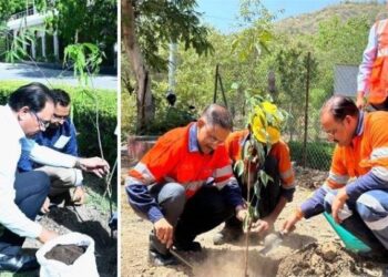 hindustan zinc on world environment day