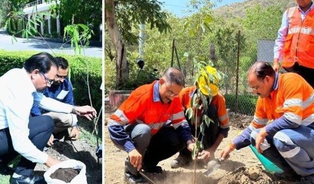 hindustan zinc on world environment day