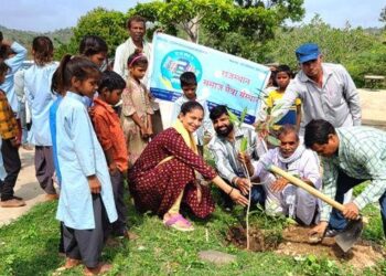 rajasthan samaj seva sansthan udaipur plantation in udaipur