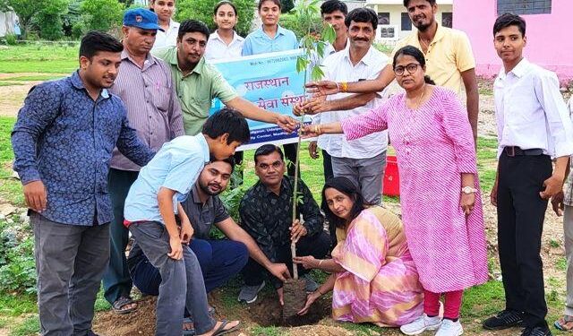 rajasthan samaj seva sansthan udaipur plantation start in udaipur