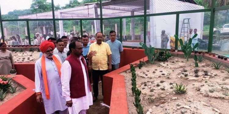 Cactus Garden inaugurated in kevda ki naal in udaipur forest department developed Cactus Garden