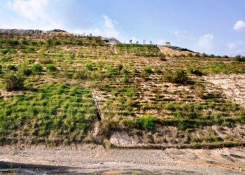 Hindustan Zinc Collaborates with TERI to Transform Wasteyard into Green belt