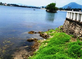 rain in udaipur less than normal All dams are empty even after one month of monsoon