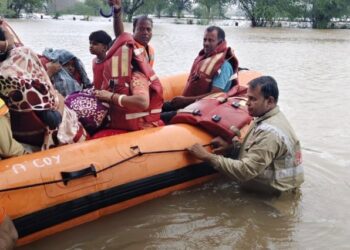 Pali SDRF Rescue Team