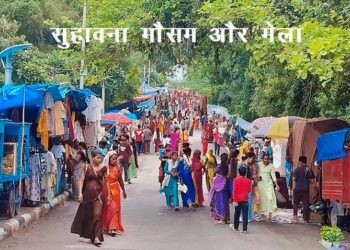 hariyali amavasya mela udaipur