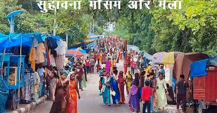 hariyali amavasya mela udaipur